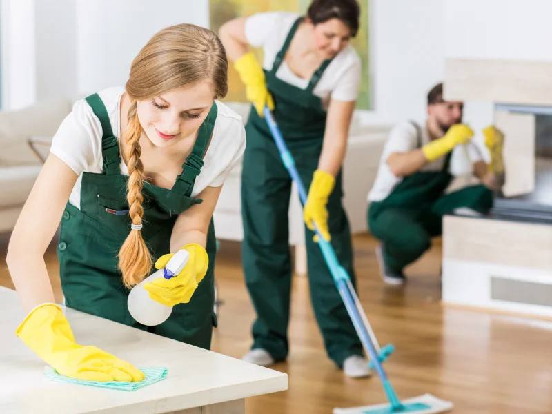 Cleaner